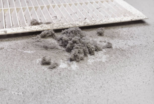 Best Air Duct Cleaning Near Me  in Pace, FL